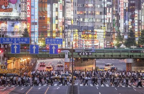 新宿 ダイエット：都市の喧騒と静かな自己変革の狭間で